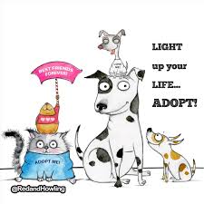 Red and Howling - Light up your Life...Adopt! | Facebook