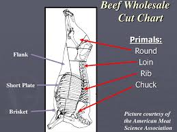 Retail Meat Identification Ppt Download