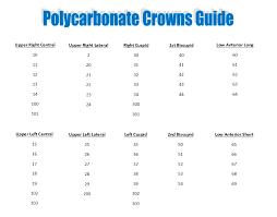 Polycarbonate Crown Refill Guide Servident