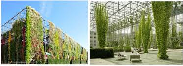 vertical gardens intechopen
