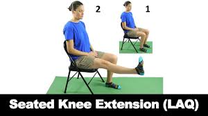 seated knee extension laq ask