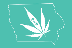 So, that's what this case was about. Getting A Medical Marijuana Card In Iowa Just Got Easier
