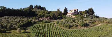 Tuscan Hills Chianti Wines Premium