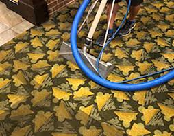 advanced carpet care carpet cleaning