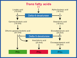 What Is A Trans Fatty Acid Heart Rate Zones
