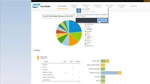 Commenting On Report Data In Sap Businessobjects Web Intelligence Interactive Viewer 4 2 Sp5