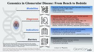 Genomics In Glomerular Disease From