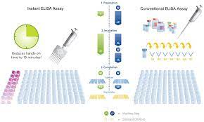 overview of elisa thermo fisher