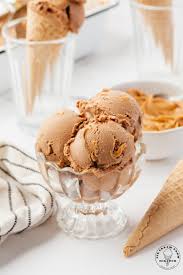 chocolate peanut er ice cream ice