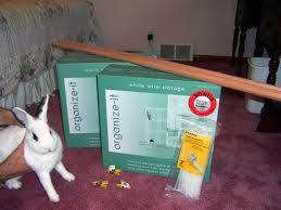 how to build an indoor bunny cage