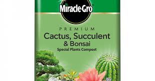 This can be a variety of different materials, including perlite, pumice, crushed granite, or clay. Miracle Gro Premium Cactus Succulent Bonsai Compost 6 Litres