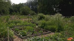 Community Gardens Provide More Access
