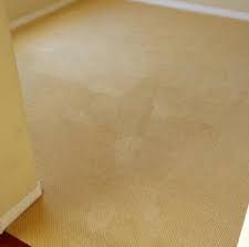 1 residential carpet cleaning in