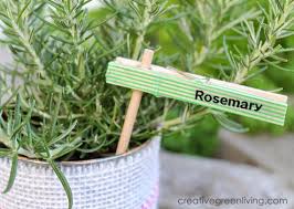 Plant Markers From Clothespins