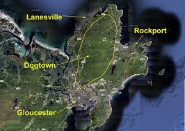 Image result for dogtown gloucester