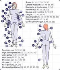 List Of Cupping Therapy Points Chart Image Results Pikosy