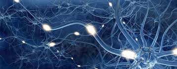 Jan 15, 2021 · definition. Reizweiterleitung Im Nervensystem Nervenzelle Ratgeber Nerven De