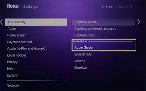 how to turn off the narrator on a roku