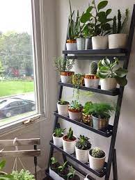Indoor Ladder Planter Ideas