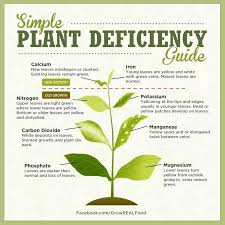 Thought This Picture Describing Plant Deficiencies May Help