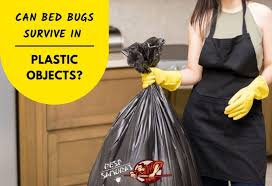 bed bugs survive in plastic objects