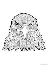 Choose your favorite zentangle coloring pages for adults and color it in bright colors. Bird Zentangle Coloring Pages Zentangle Eagle 10 Printable 2020 685 Coloring4free Coloring4free Com