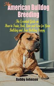 Specializing in extremely thick and bully johnson style dogs. The American Bulldog Breeding The Essential Guide On How To Train Feed Love And Care For Your Bulldog And New Bulldog Puppy English Edition Ebook Johnson Bobby Amazon De Kindle Shop