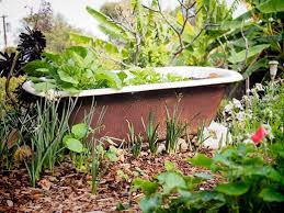 8 One Of A Kind Raised Garden Beds