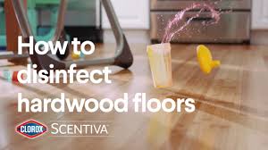 disinfect hardwood floors clorox
