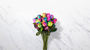 Check spelling or type a new query. Rainbow Roses Flowers Send Tie Dye Roses For Delivery Ftd