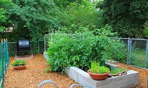 Diy Raised Bed Using Concret Blocks