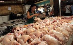 Image result for ayam potong