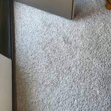 siggy s carpet cleaning 12 photos