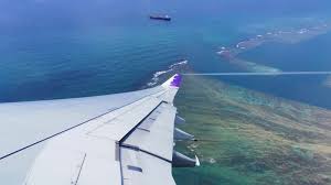 hawaiian airlines airbus a330 economy