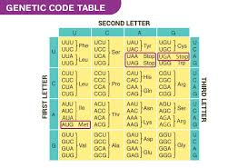 genetic code genetic tables