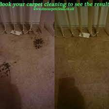 dm carpet clean 14 photos 28