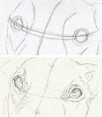 Jun 21, 2021 · ? How To Draw Dog Eyes That Look Amazingly Realistic Craftsy
