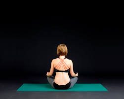 Bryan Kest's Power Yoga gambar png