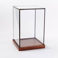 Plant Display Box Wooden Glass Display