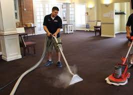 carpet cleaning for allergy sufferers