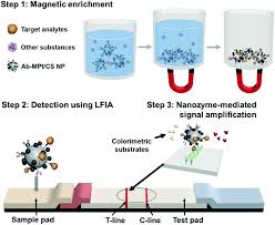 Superparamagnetic Nanoarchitectures For Disease Specific