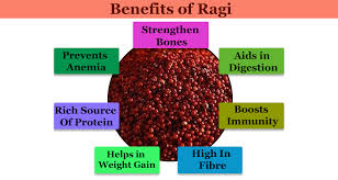 Benefits Of Ragi As A Superfood For Your Baby Nutrition