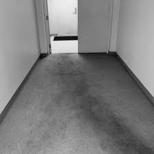 carpet care janitorial service