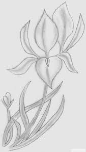 Hârtia cu textură rugoasă este id … eală pentru realizarea de hașuri pe o scară valorică foarte mare. Desen Creion 1283630124 Desene In Creion Cu Flori Deeascumpik Flower Drawing Drawings Art
