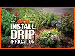 How To Install Drip Irrigation The