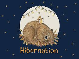 نتیجه جستجوی لغت [hibernation] در گوگل