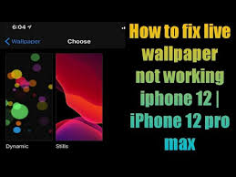 · tap a live photo to select it. How To Fix Live Wallpaper Not Working Iphone 12 Iphone 12 Pro Max Youtube
