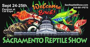 23rd annual sacramento reptile show