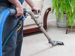 ace carpet cleaning services expert