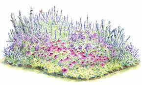 This plant is also known as busy lizzie and like shady and partial sunlight area. Perennial Flower Care Planting Watering Dividing The Old Farmer S Almanac